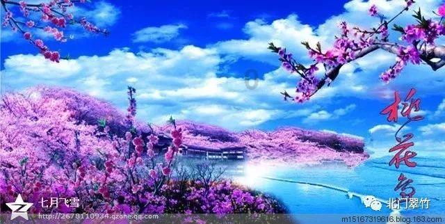 逃出蜜蜂岛